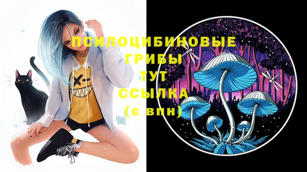 apvp Новодвинск