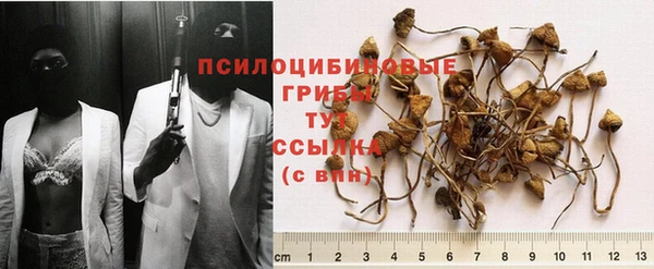 apvp Новодвинск