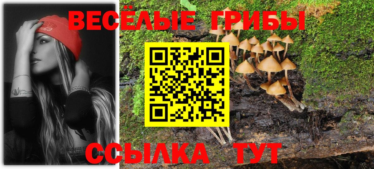 Псилоцибиновые грибы мицелий Кохма